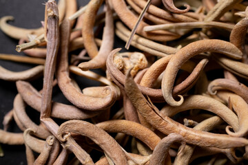 Dried Prosopis Cineraria Seed Pods Natural Ghaf Tree Herbal