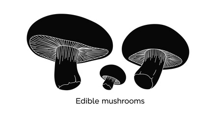 Minimalist black silhouette icons of different edible mushrooms types displayed on a clean white background for culinary and design projects.