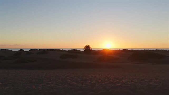 Cinematic 4K Aerial of the Maspalomas Special Natural Reserve Dunes at Sunrise, showcasing the World Biosphere Reserve and Volcanic Coastline, Gran Canaria, Spain