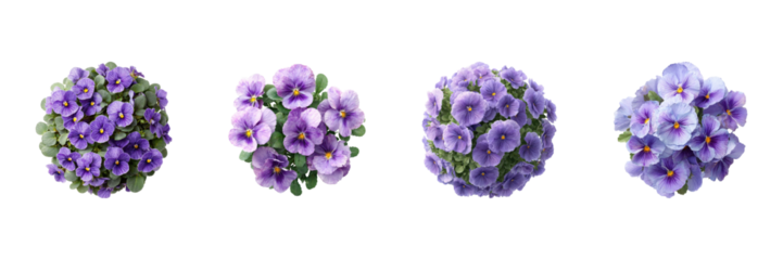 Purple And Lavender Pansy Flower Arrangements Set. Floral Decoration And Gardening Collection Isolated On Transparent Background