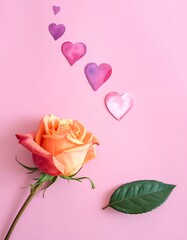 Rose & hearts on pink background a single leaf and rose bloom, with watercolor hearts floating upward