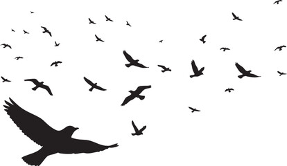 Fototapeta premium Flying A flock of flying birds on a white background, Vector bird silhouette