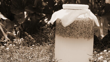Fermentation Jar Natural Outdoor Closeup Sepia. Probiotic Drink Rustic Stilllife Neutral