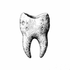 Molar tooth with wet cement texture, cursed alchemy ingredient, hand drawn ink sketch.