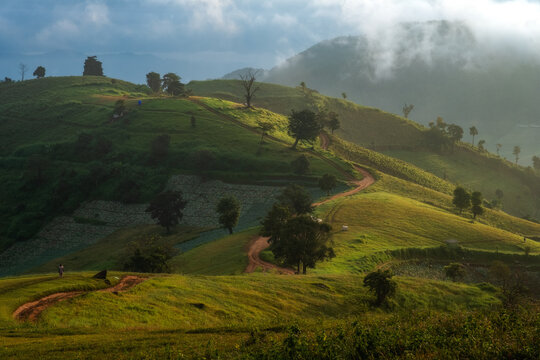 Winding Path Through Green Hills and Misty Mountains