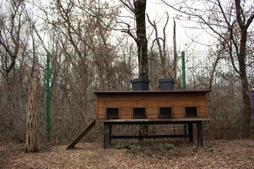Wooden Picnic Table in Forest Park