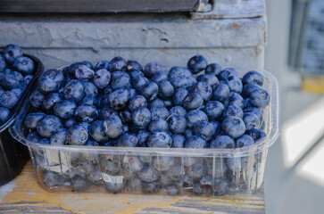 Fresh blueberries in a container harvested