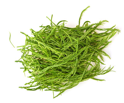 fresh senegalia pennata.Heap of Roughly chopped isolated on white background top view.