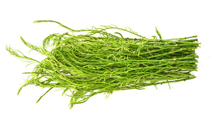 Heap of fresh senegalia pennata. isolated on white . top view