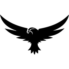 Obraz premium Flying Eagle Animal