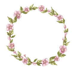 Circle frame with cherry blossom and pink flowers