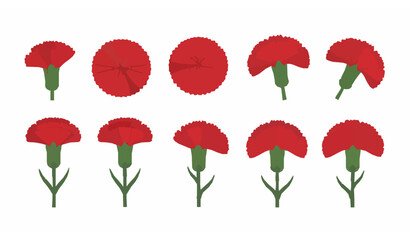 Minimal red carnation die cut flower vector set for National Carnation Day isolated on white