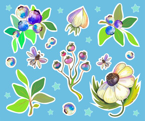 A set of stickers with decoration of physalis flowers, blueberries and butterflies on a white background. Decorations for study or hobby and holidays. Hand drawn. Vector.