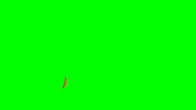 Dry Leaves Blowing Across on Green Screen Landscape
