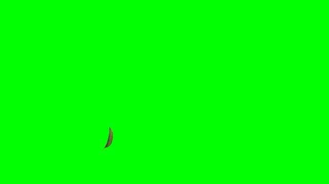 Leaves Blowing Across on Green Screen Landscape