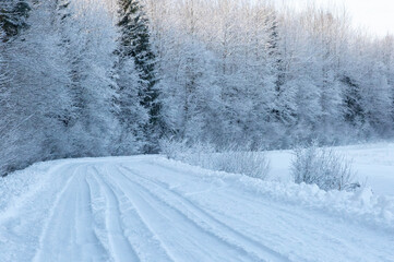 Obraz premium road in the snow