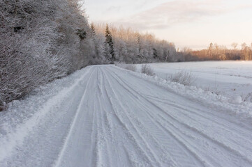 Obraz premium road in winter