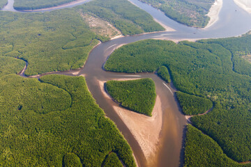 Aerial View of Mangrove Forest River Delta with Sandbanks