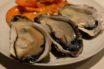 Freshly shucked oysters and cooked prawns served on a white plate © Thanakrit