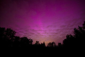 Strong northern lights over forest. Geomagnetic storm and night landscape.