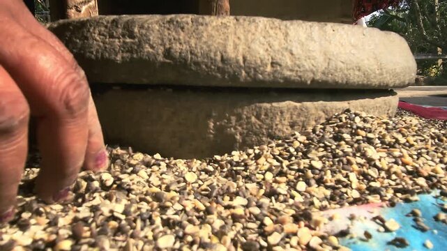 An Indian village woman grinding black gram lentils on a hand-driven stone mill showcases traditional agriculture-based lifestyles, homemade food culture, and timeless rural craftsmanship.