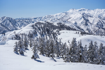Fototapeta premium 冬の野谷荘司山登山で見える雪景色