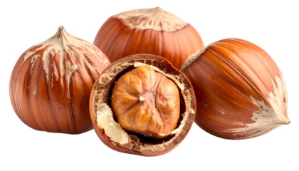 Close-up of four brown nuts; one cut open to show the kernel