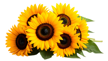 A vibrant bouquet of sunflowers, with bright yellow petals and dark brown centers
