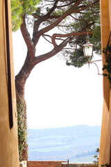A picturesque view from Montepulciano, Tuscany, framed by a tall tree and a charming street lamp. The soft hills of the Tuscan countryside stretch in the distance, evoking tranquility and beauty.