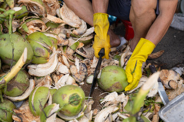 Cutting fresh green coconuts at Asian street market stall
