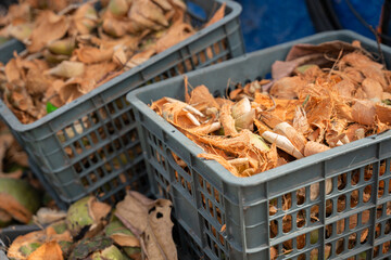 Coconut shells and husks in plastic crate at Asian market