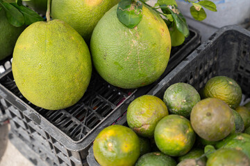 Fresh green pomelo fruits with leaves at Asian local market