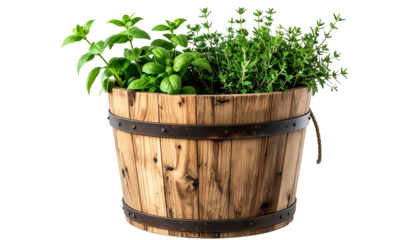 Wooden bucket overflowing with assorted green herbs against a black background