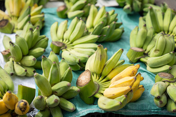 Fresh green and ripe bananas displayed at Asian local market