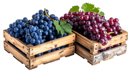 Two wooden crates filled with vibrant bunches of purple and red grapes, with leaves