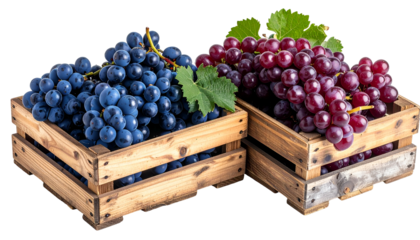 Two wooden crates filled with vibrant bunches of purple and red grapes, with leaves