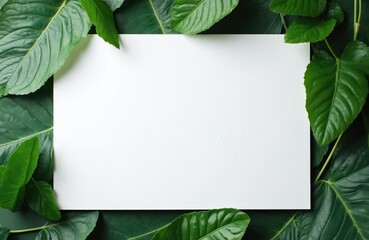 Fototapeta premium Blank white card rests on lush green leaves. Nature background provides copy space for text. Ideal for invitations flyers announcements or product displays.