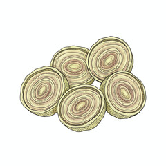 Five slices of crosssectioned lemongrass stalks illustrated on a white background