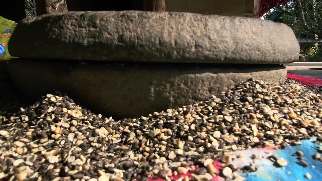 Under natural sunlight in a rural setting, an Indian woman uses a manual grinding stone to process black gram lentils, reflecting cultural traditions and self-reliant domestic practices.