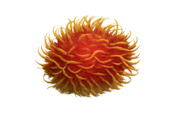 Orange furry monster, 3d hairy creature creating a textured abstract background element with transparent background