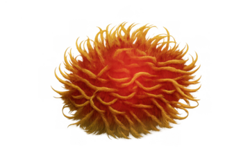 Orange furry monster, 3d hairy creature creating a textured abstract background element with transparent background