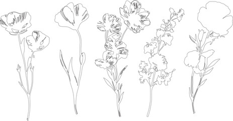 hand drawn vector illustration of flowers or sketch art silhouette of flowers with leaf and branches made  by lines.