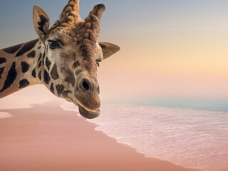 Exotic giraffe by the sea with copy space