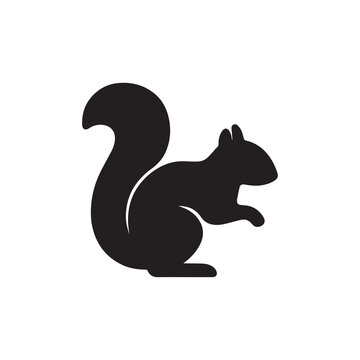 Black and white cartoon squirrel holding a nut on a white background vector illustration