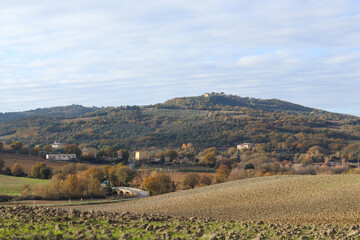 A beautiful Tuscany landscape with olive trees on the hillside, rolling fields in the foreground and winding road leading to a charming village at the base of the hill. Autumn colors enhance the view