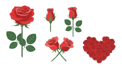 Collection of Red Roses and Heart-Shaped Floral Arrangement