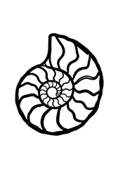 Minimalist hand drawn black and white nautilus shell line art, decorative spiral ammonite fossil sketch for coastal home decor and educational marine biology projects