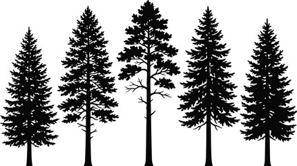 Pine forest tree silhouettes illustration featuring evergreen woodland landscape, nature and wilderness scenery, minimalist black vector artwork isolated.Web