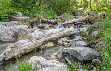 Fototapeta premium White Water, logs and rocks in Taggart Creek, Grand Teton National Park, Wyoming, USA