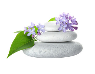 Stacked white stones with sprig of purple flowers and vibrant green leaves on black background